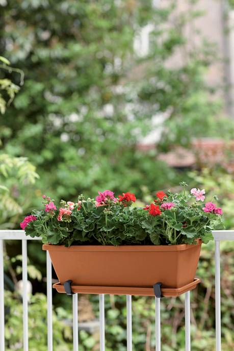 barcelona trough 40cm terra